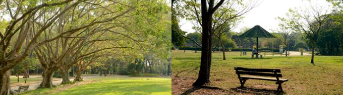 Parque Ecológico Guapituba Mauá